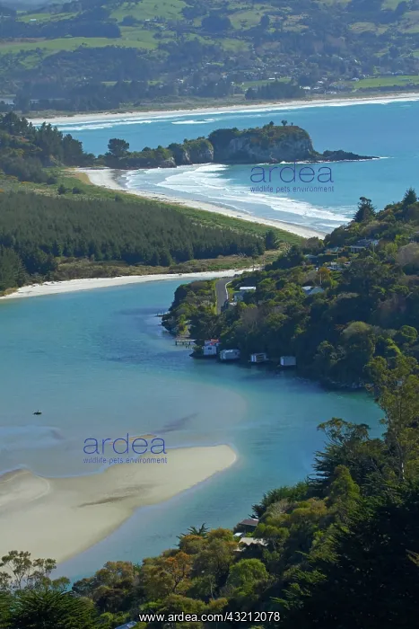 : Purakaunui Inlet and Purakaunui Bay, near : Purakaunui Inlet and Purakaunui Bay, near