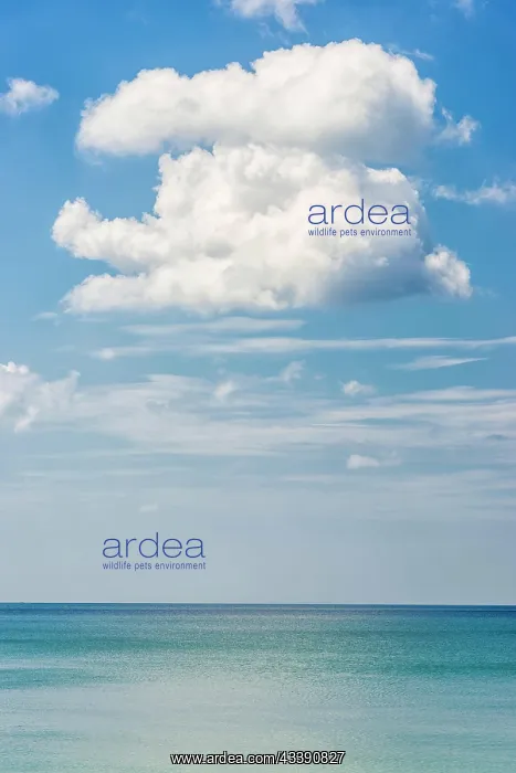 : Puristic seascape near Ko Lanta, sea, ocean, nature : Puristic seascape near Ko Lanta, sea, ocean, nature