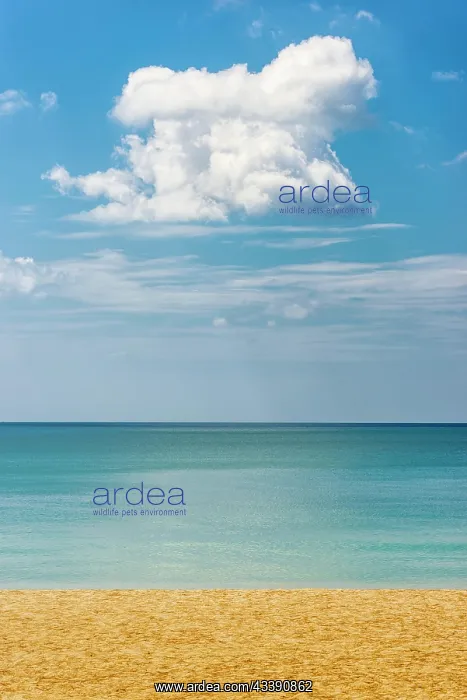 : Puristic seascape near Ko Lanta, beach, beach holiday : Puristic seascape near Ko Lanta, beach, beach holiday