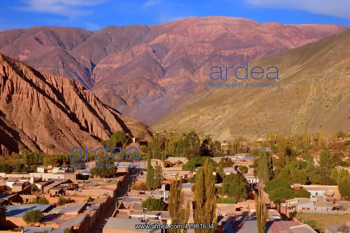 : Purmamarca Village - view onto the little community : Purmamarca Village - view onto the little community