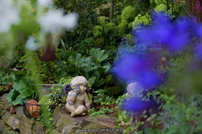 : Putto in a romantic garden : Putto in a romantic garden