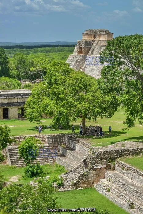  : Pyramid of the Magician (Piramide del Adivino)
