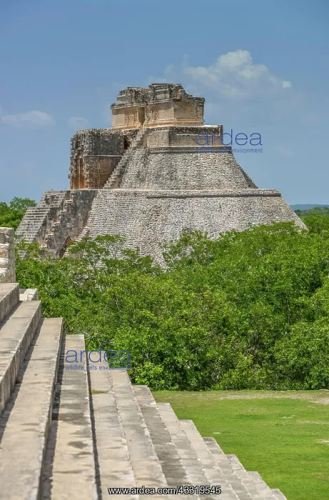 : Pyramid of the Magician (Piramide del Adivino) : Pyramid of the Magician (Piramide del Adivino)