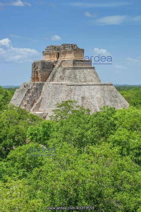 : Pyramid of the Magician (Piramide del Adivino) : Pyramid of the Magician (Piramide del Adivino)
