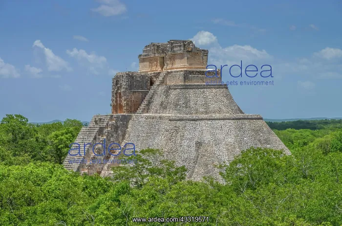 : Pyramid of the Magician (Piramide del Adivino) : Pyramid of the Magician (Piramide del Adivino)