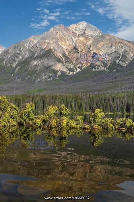 : Pyramid Mountain and Pyramid Lake, Jasper National Park : Pyramid Mountain and Pyramid Lake, Jasper National Park