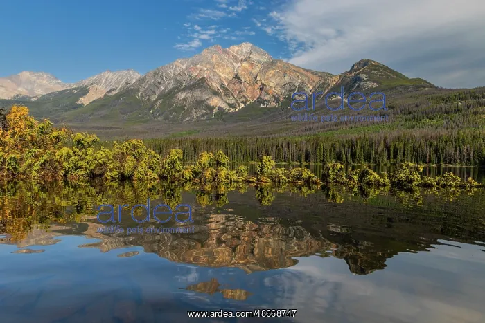 : Pyramid Mountain and Pyramid Lake, Jasper National Park : Pyramid Mountain and Pyramid Lake, Jasper National Park