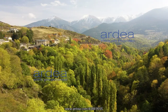 : Pyrenees in autumn, looking east to Mt. Canigou : Pyrenees in autumn, looking east to Mt. Canigou
