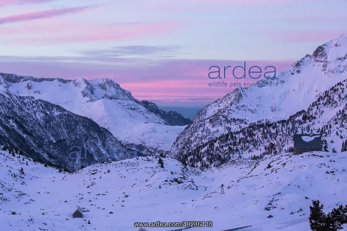 : Pyrenees sunrise over snowy mountains with mountain lodge : Pyrenees sunrise over snowy mountains with mountain lodge