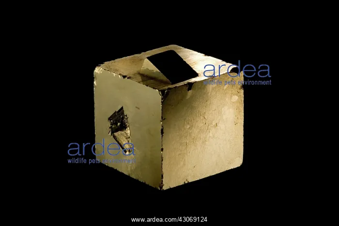: Pyrite, or Fool's Gold, is iron sulphide : Pyrite, or Fool's Gold, is iron sulphide