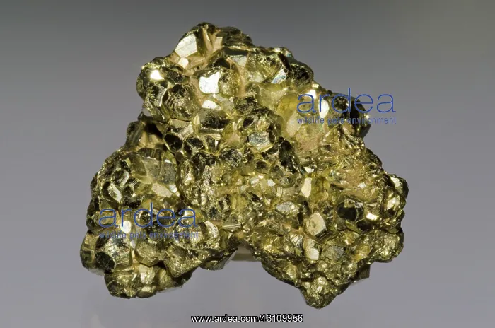 : Pyrite. The mineral pyrite, or iron pyrite, is an iron sulfide with the formula FeS2 : Pyrite. The mineral pyrite, or iron pyrite, is an iron sulfide with the formula FeS2