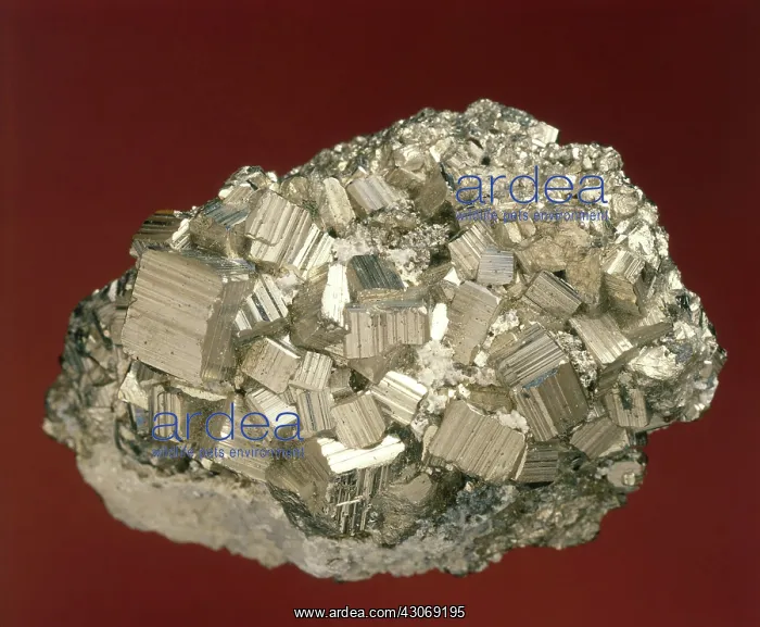 : Pyrite Crystals : Pyrite Crystals