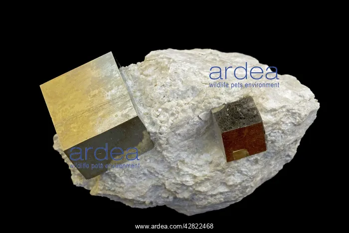 : Pyrite (FeS2) (Iron sulfide) / 'Fool's Gold' : Pyrite (FeS2) (Iron sulfide) / 'Fool's Gold'