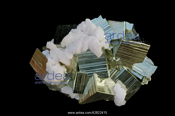 : Pyrite (FeS2) (Iron sulfide) / 'Fool's Gold' - and Quartz : Pyrite (FeS2) (Iron sulfide) / 'Fool's Gold' - and Quartz