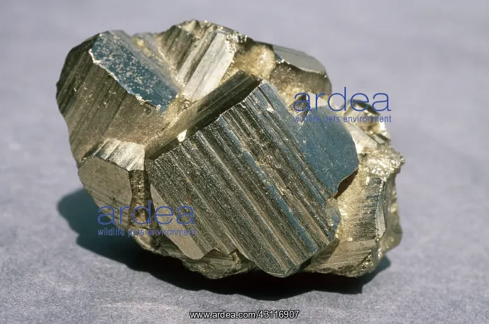 : Pyrite (Fool's Gold) : Pyrite (Fool's Gold)