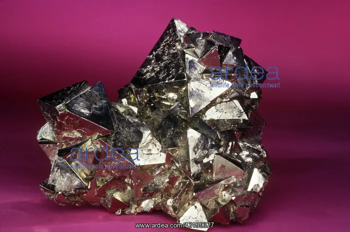 : Pyrite from Quiruvilca, Peru : Pyrite from Quiruvilca, Peru