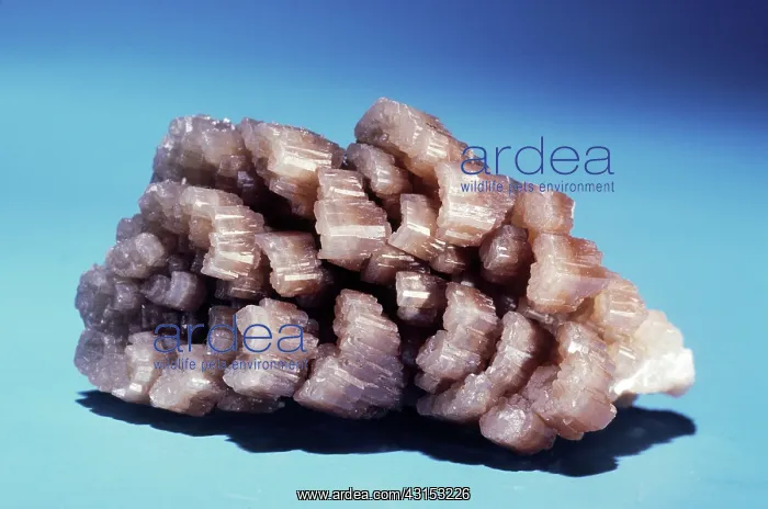: Pyromorphite from Bad Ems, Germany : Pyromorphite from Bad Ems, Germany