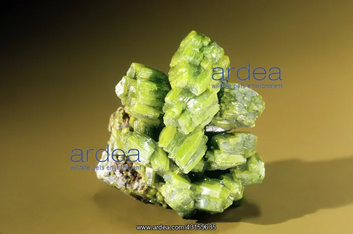 : Pyromorphite from Bad Ems, Germany : Pyromorphite from Bad Ems, Germany