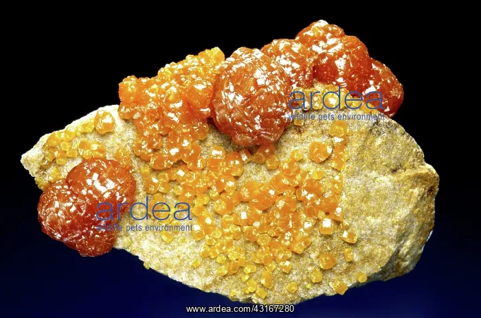 : Pyromorphite From Idaho, USA : Pyromorphite From Idaho, USA