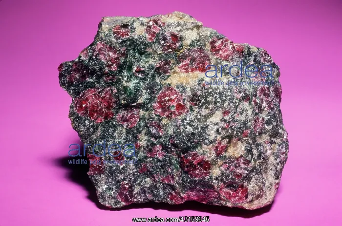 : Pyrope from Aheim, Norway : Pyrope from Aheim, Norway