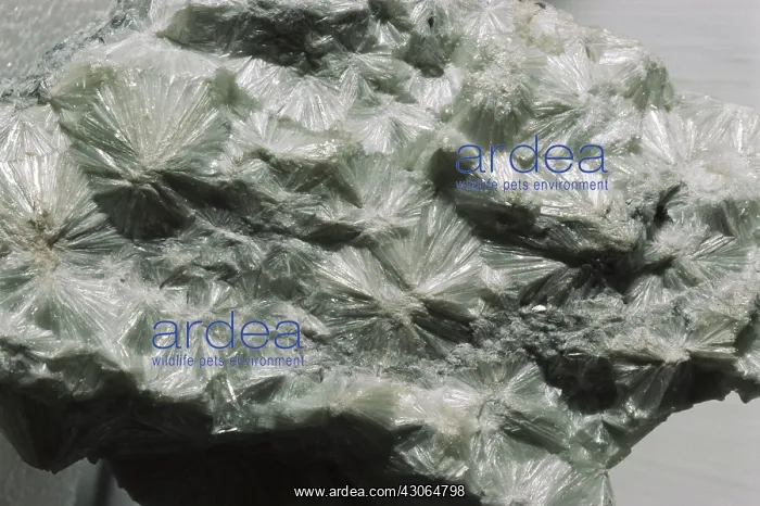 : Pyrophyllite : Pyrophyllite