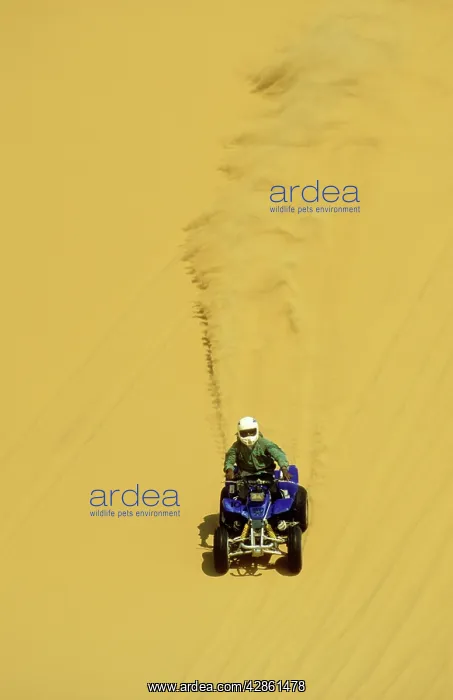 : Quad Biker - quad bike excursions into the dunes : Quad Biker - quad bike excursions into the dunes