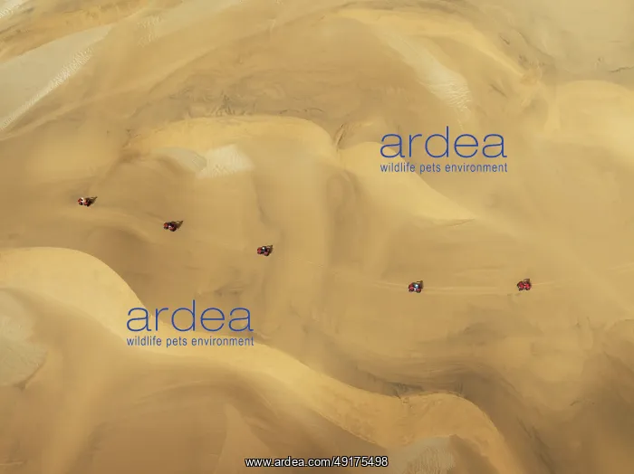 : Quad bikes in the dunes of the Namib Desert in the vicinity of the coastal town of Swakopmund : Quad bikes in the dunes of the Namib Desert in the vicinity of the coastal town of Swakopmund
