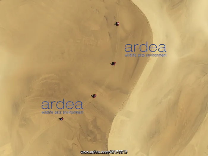 : Quad bikes in the dunes of the Namib Desert in the vicinity of the coastal town of Swakopmund : Quad bikes in the dunes of the Namib Desert in the vicinity of the coastal town of Swakopmund