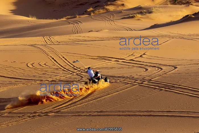 : Quad biking : Quad biking