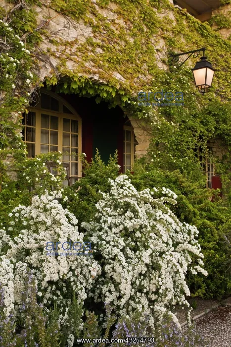  : Quaint rural Inn, France