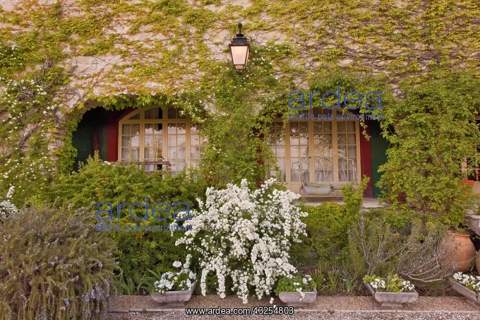 : Quaint rural Inn, France : Quaint rural Inn, France