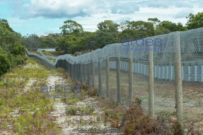 : Quarantine breeding enclosure for insurance population : Quarantine breeding enclosure for insurance population