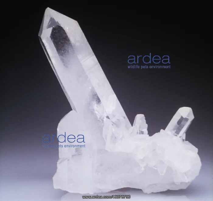 : Quartz : Quartz