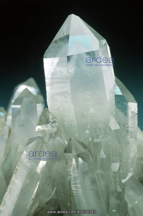 : Quartz crystal, Nikolaevsky Mine, Dal'negorsk, Russia : Quartz crystal, Nikolaevsky Mine, Dal'negorsk, Russia