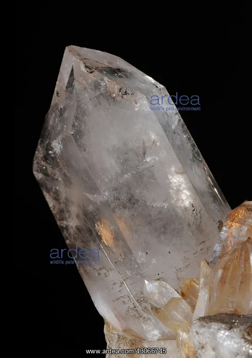: Quartz Crystal : Quartz Crystal