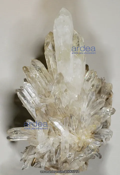 : Quartz Crystals : Quartz Crystals
