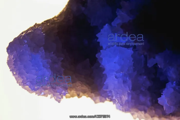 : Quartz crystals : Quartz crystals