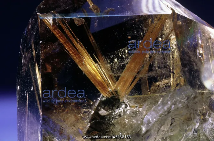 : Quartz enclosing rutile (rutilated quartz) : Quartz enclosing rutile (rutilated quartz)