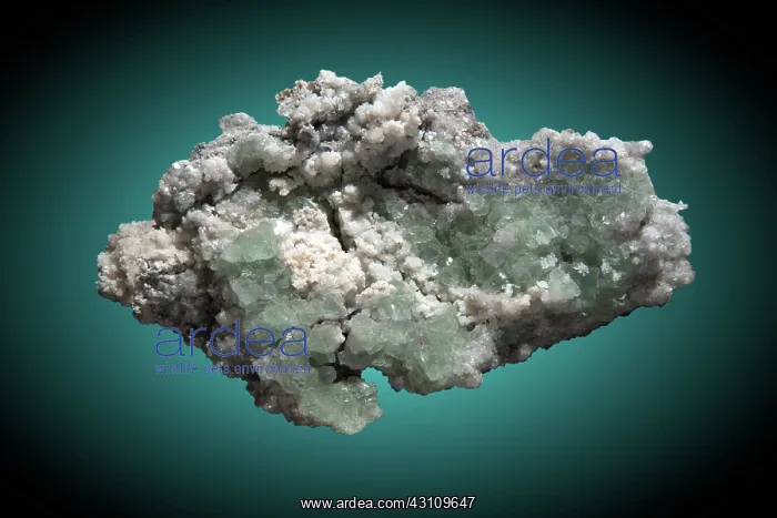 : Quartz & Fluorite in White Light (2 of 2) : Quartz & Fluorite in White Light (2 of 2)
