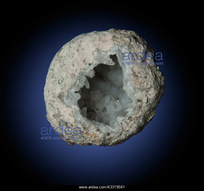 : Quartz Geode (2 of 2) : Quartz Geode (2 of 2)
