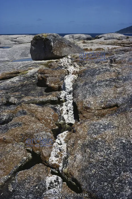 : Quartz Vein in Granite : Quartz Vein in Granite