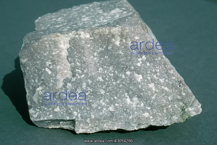 : Quartzite, a metamorphic rock from Tasmania, Australia : Quartzite, a metamorphic rock from Tasmania, Australia
