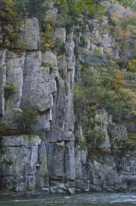 : Quartzite Cliffs in West Virginia : Quartzite Cliffs in West Virginia