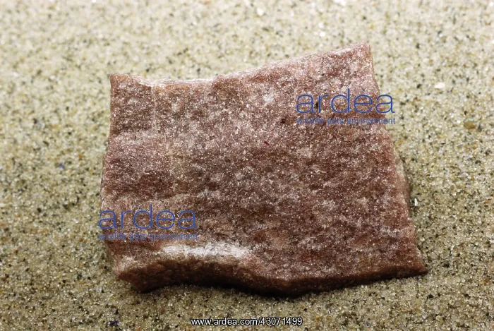 : Quartzite, a metamorphic rock : Quartzite, a metamorphic rock