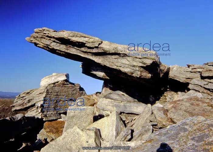 : Quartzite Outcrop : Quartzite Outcrop