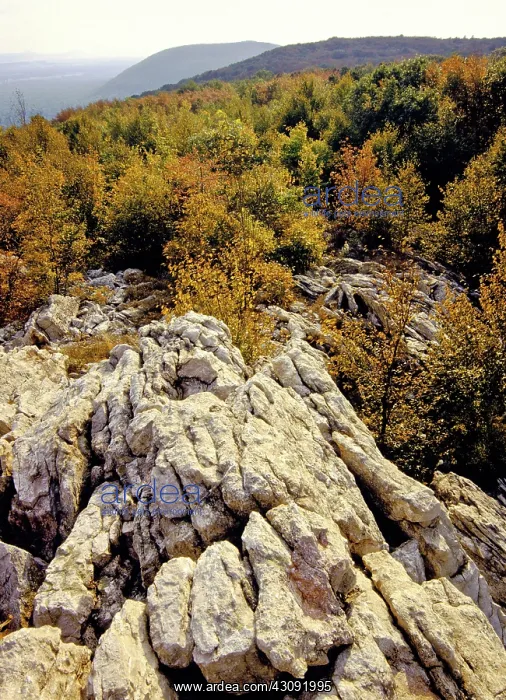 : Quartzite Outcrop on the Appalachian Trail : Quartzite Outcrop on the Appalachian Trail