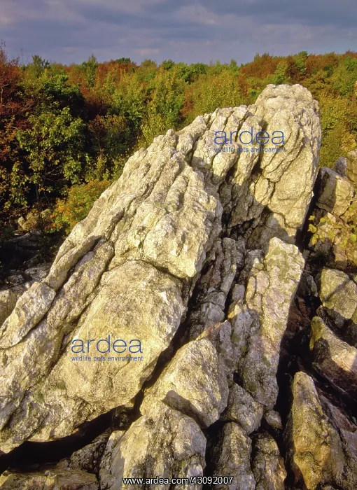 : Quartzite Outcrop on the Appalachian Trail : Quartzite Outcrop on the Appalachian Trail