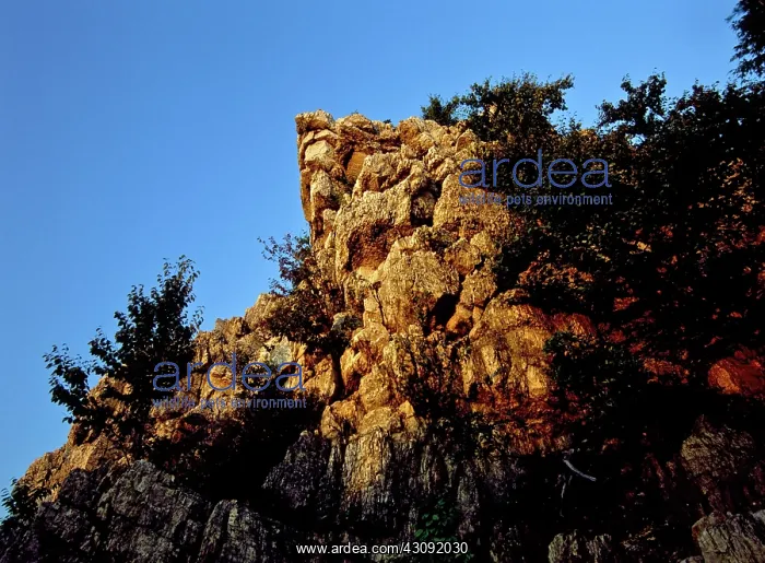 : Quartzite Outcropping, Pennsylvania : Quartzite Outcropping, Pennsylvania