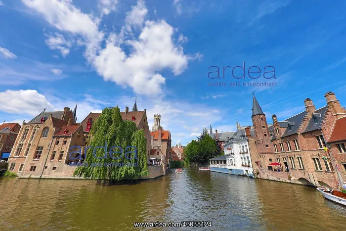 : Quay of the Rosary or Rozenhoedkaai, Bruges, Belgium : Quay of the Rosary or Rozenhoedkaai, Bruges, Belgium