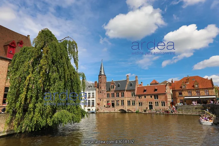 : Quay of the Rosary or Rozenhoedkaai, Bruges, Belgium : Quay of the Rosary or Rozenhoedkaai, Bruges, Belgium
